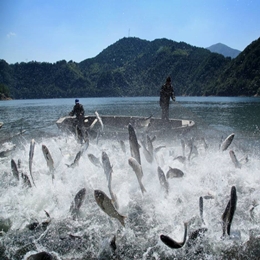 渔业水质检测公司|广州渔业水质检测